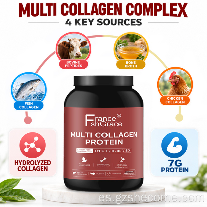 Soporte para las articulaciones de la piel en polvo de proteína de colágeno múltiple Shecome